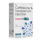 Ceftriaxone & Tazobactam Injection 1.125 Gm - Cefazid TZ 1.125 Injection - Wonne International
